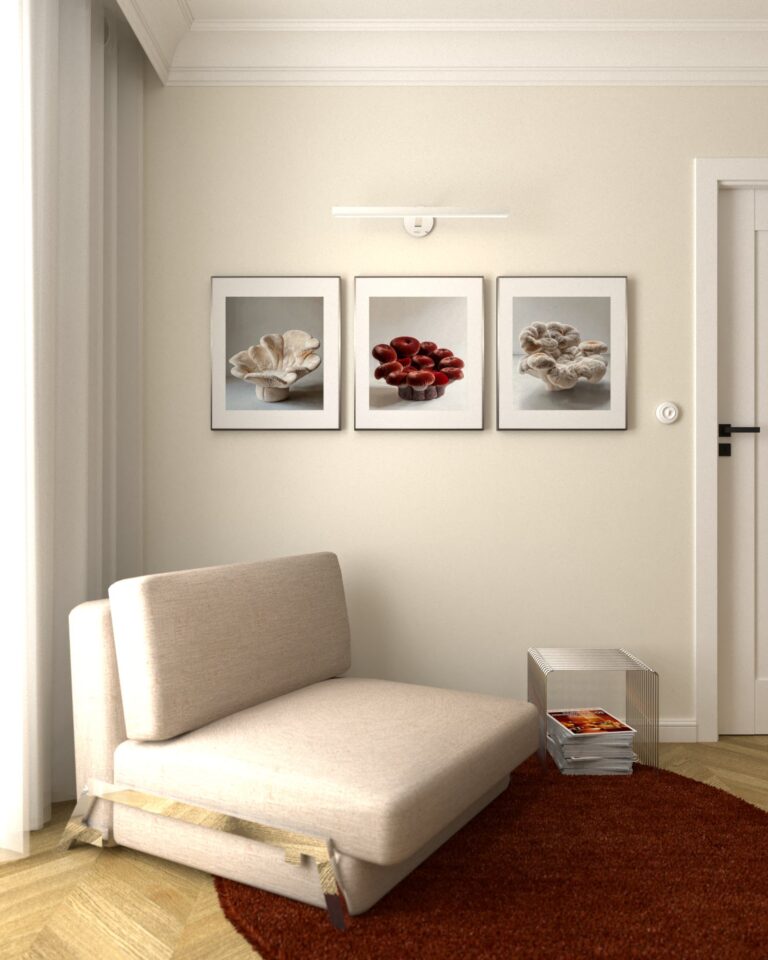 projekt wnetrza biura fotel rozkładany innovation cubed półka montana panton wire